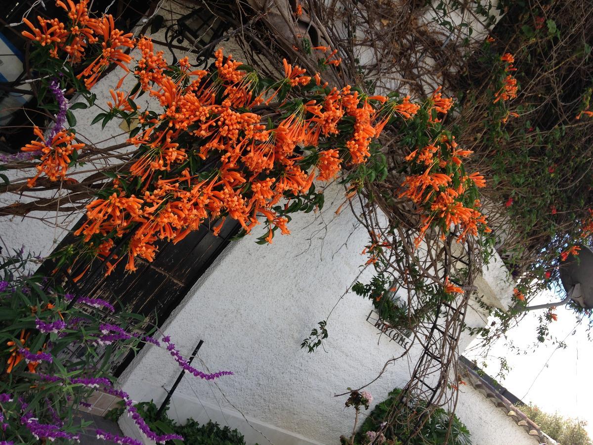 Mansion Samzara Hosteleria Sangolquí エクステリア 写真